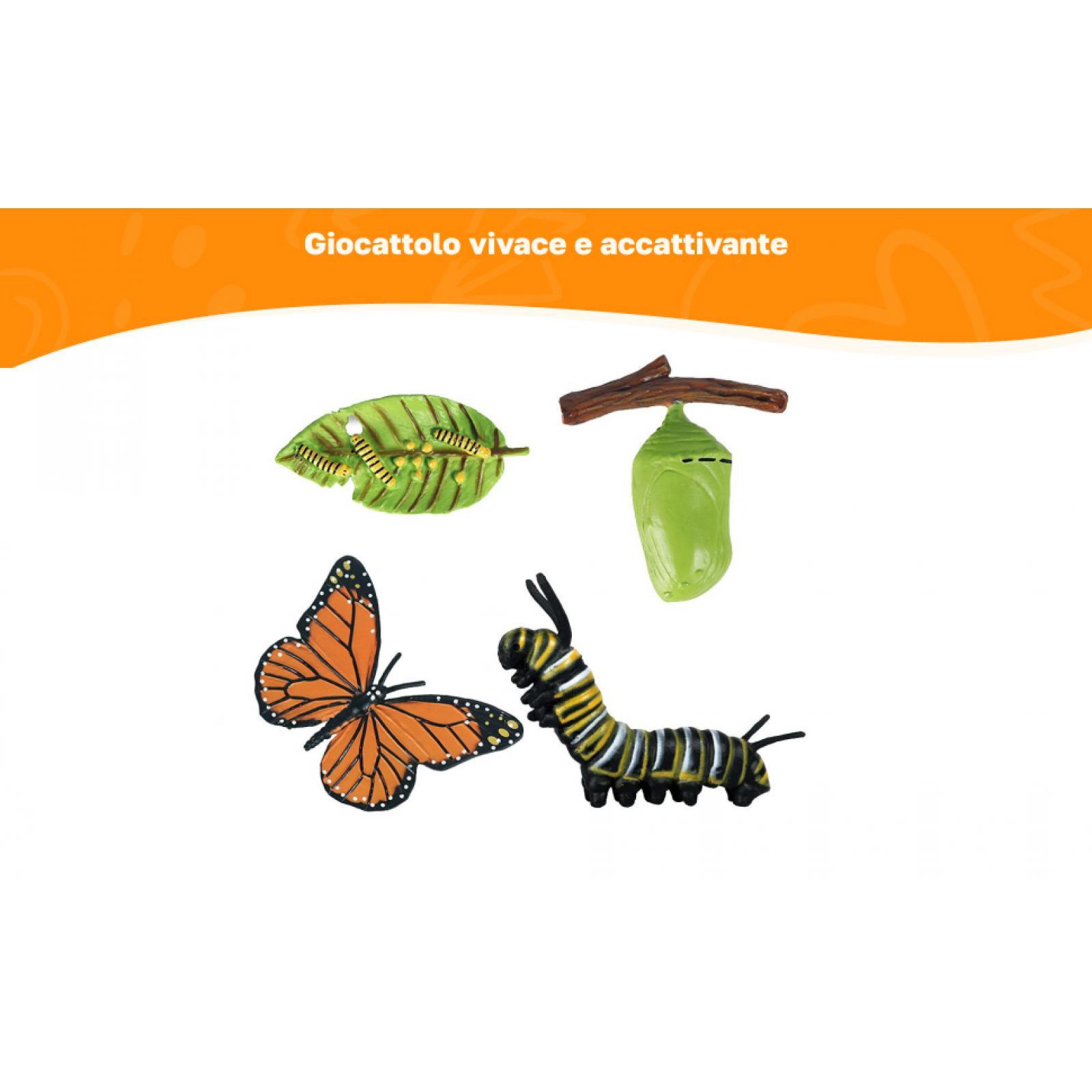 مجسمات دورة حياة النحل للأطفال - مراجعة Kids Education Sites وسعره